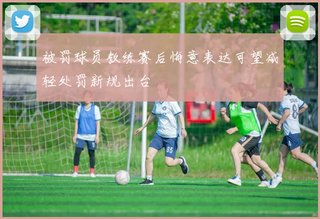 被罚球员教练赛后悔意表达可望减轻处罚新规出台